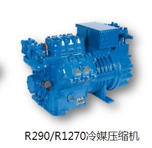 荊門R290/R1270冷媒壓縮機